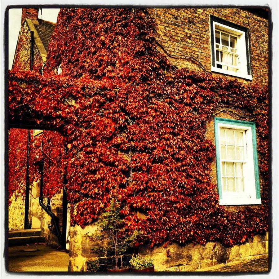 Blue Bell Hotel Belford Exterior foto